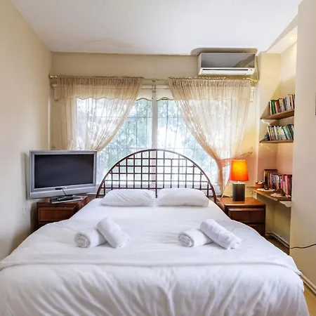 Unique House With Tree Inside Near Sea In Maltepe 4* Κωνσταντινούπολη