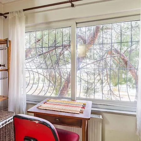 Unique House With Tree Inside Near Sea In Maltepe Estambul