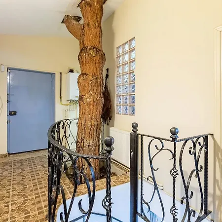 Hotel Unique House With Tree Inside Near Sea In Maltepe